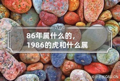 1986属什么